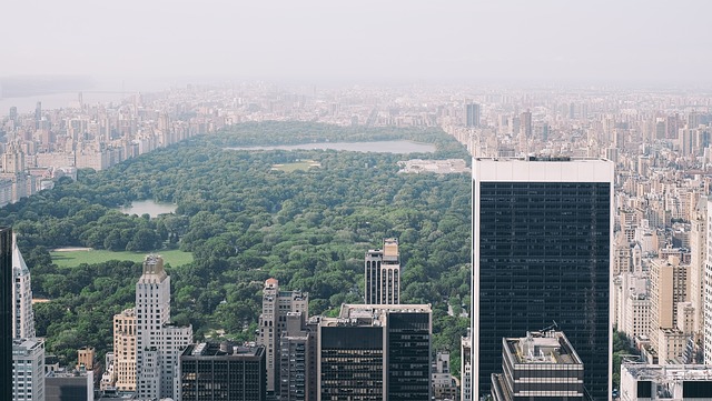 Central Park is close to Hell's Kitchen, which makes is one of the best NYC neighborhoods for seniors.