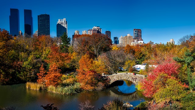 Perfectly autumn things you must do in NYC this fall