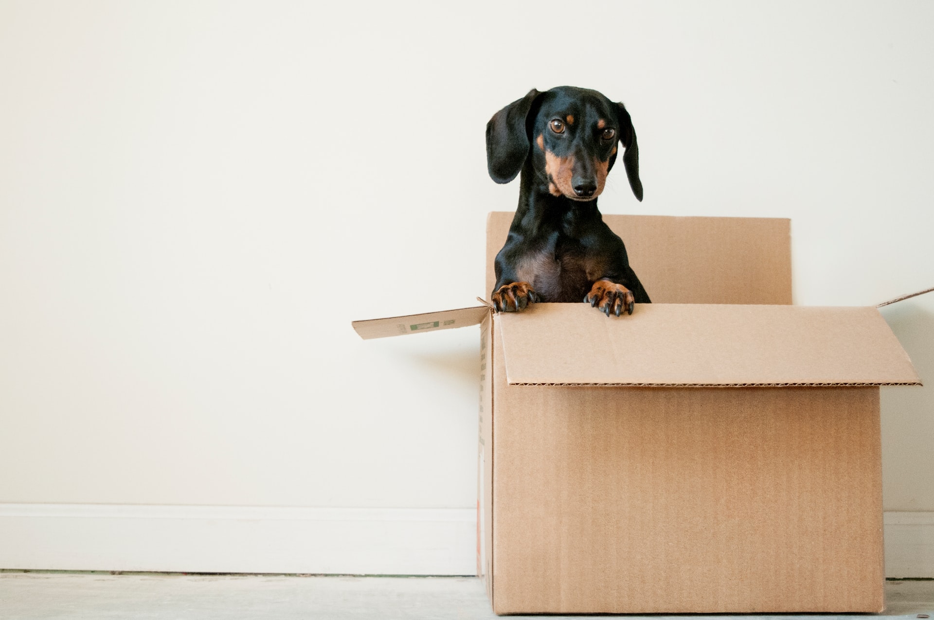 How to choose the right size moving boxes