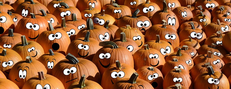 Best pumpkin patches in NYC to take your kids after the move