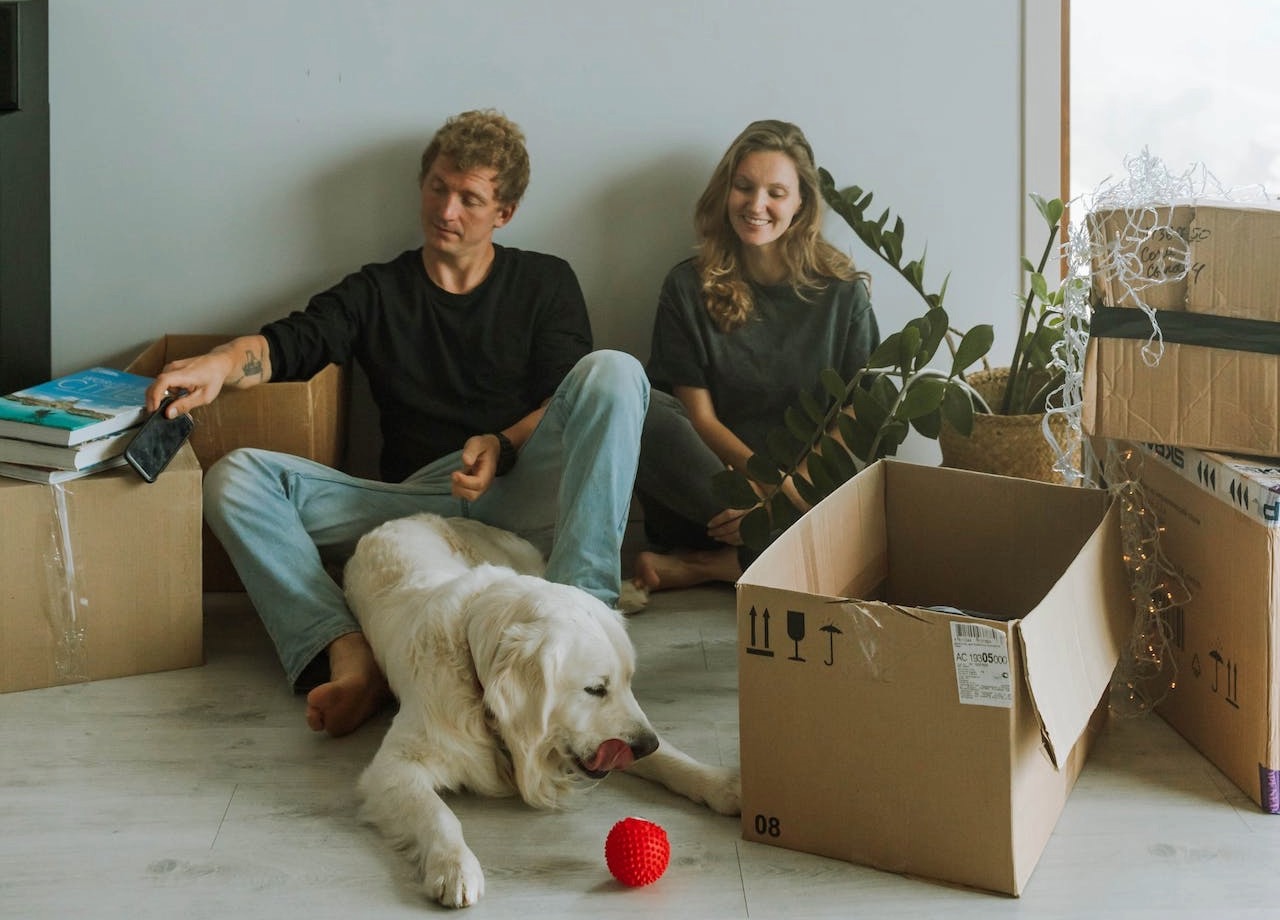 Pet-Friendly Moving Tips for Manhattan Residents