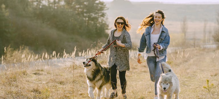 Two friends walking their dogs and discussing pet-friendly moving tips