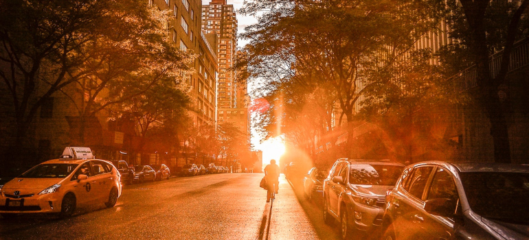 buildings surrounded by trees through which the sun shines