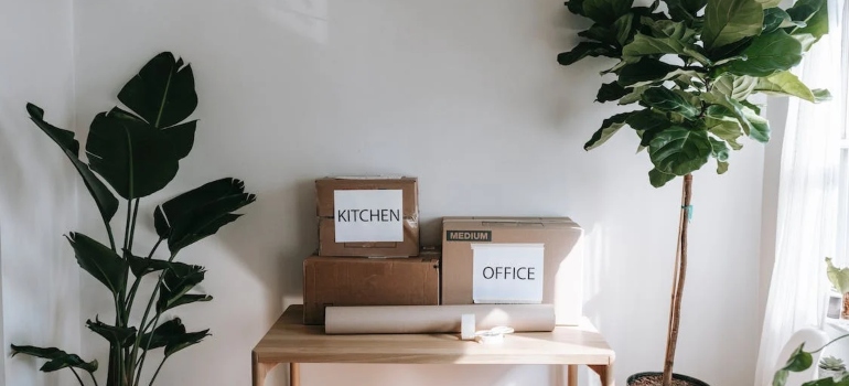 two labeled boxes on a table