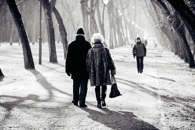 Senior couple in the park.